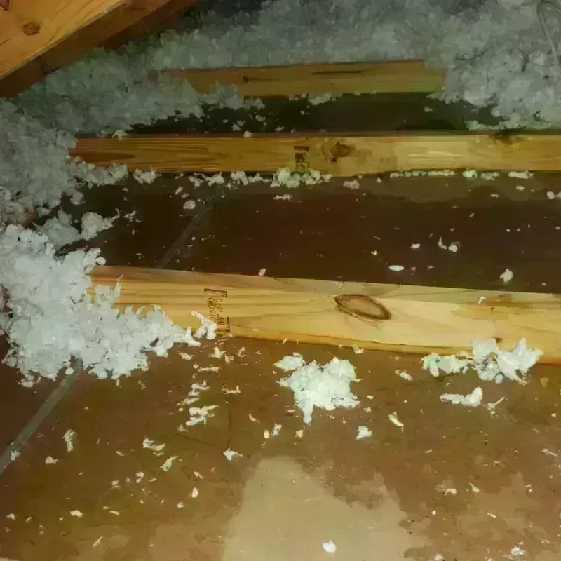 Attic Water Damage in Lake Delton, WI