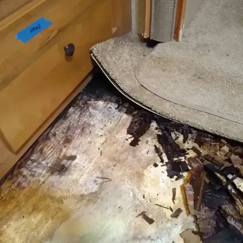 Best Wood Floor Water Damage Service in Lake Delton, WI